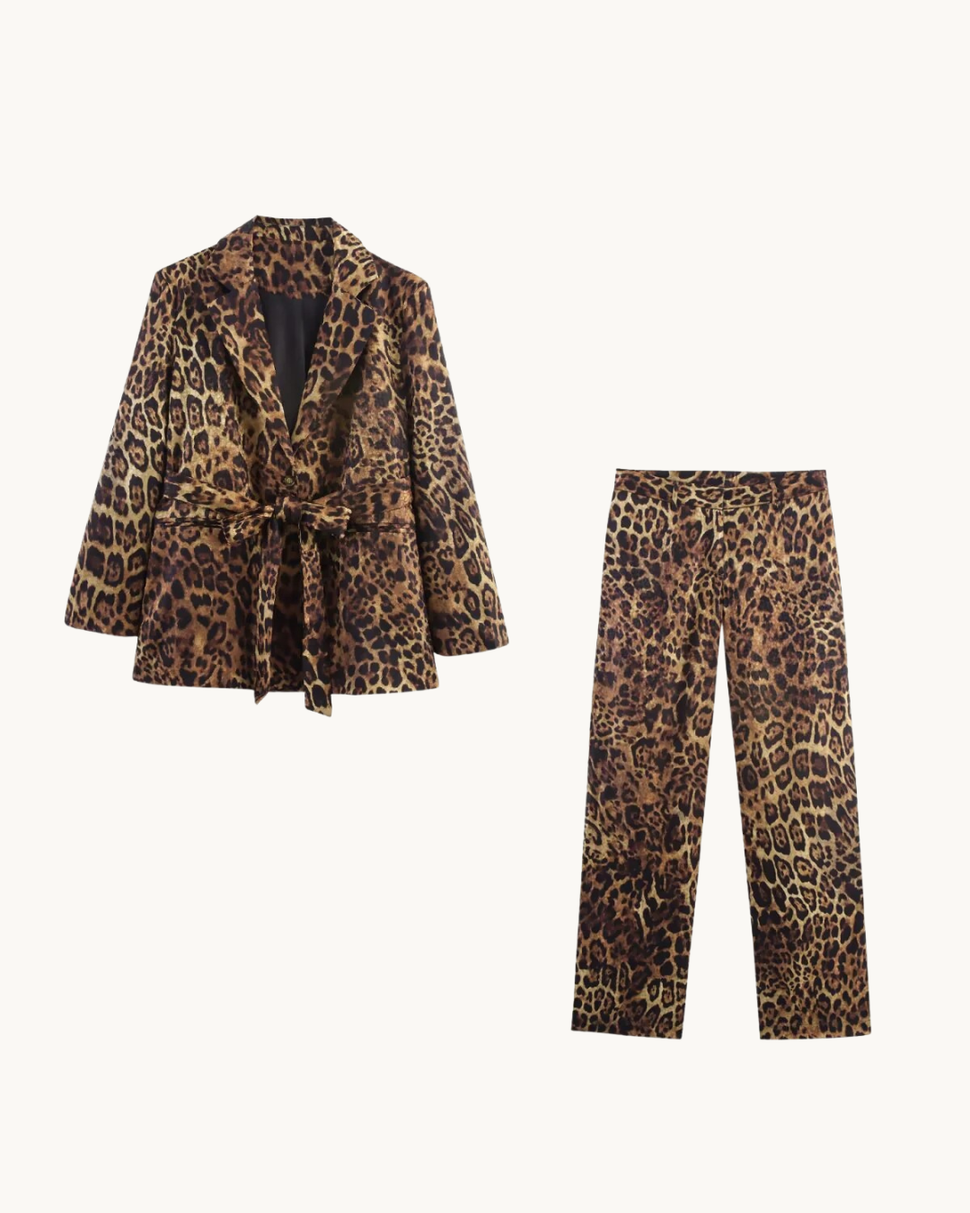 ELEGANTE SET MET CEINTUUR - BRUIN